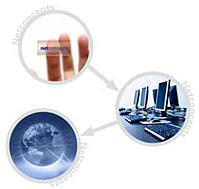 第三重創(chuàng)就業(yè)服務(wù)：多元化就業(yè)渠道，暢通無(wú)阻。