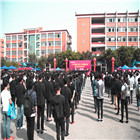 <b>IT人才供需洽談會：100多家企業，“職”為新華</b>