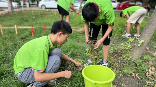 <b>豐收季來襲！新華農(nóng)場喜迎豐收季~</b>