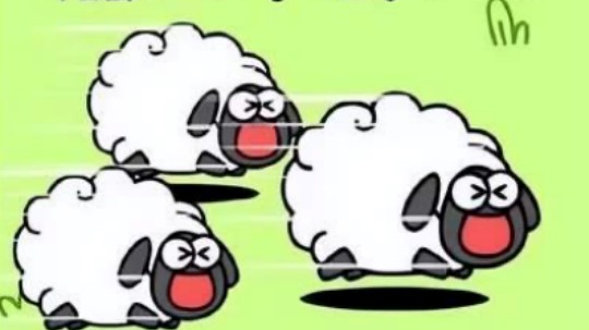 <b>羊了個(gè)羊？成都新華四步帶你無限通關(guān)！</b>