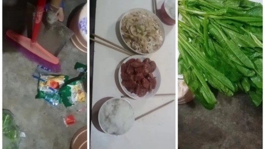 <b>2023，我家年味我來守護(hù)</b>