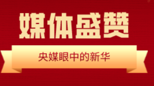 <b>媒體聚焦|成都新華榮獲媒體盛贊</b>