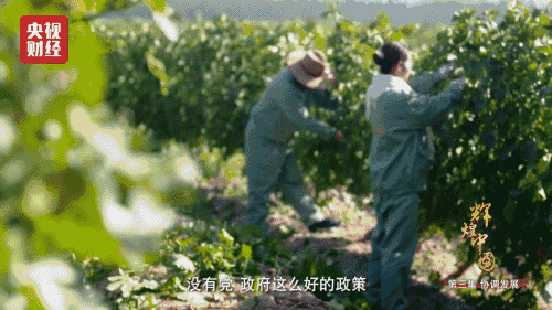 喜迎十九大，國力強(qiáng)盛人民歡慶