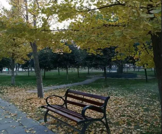 熱烈祝賀四川新華電腦學(xué)院榮獲“我與新華共成長”主題征文一等獎(jiǎng)