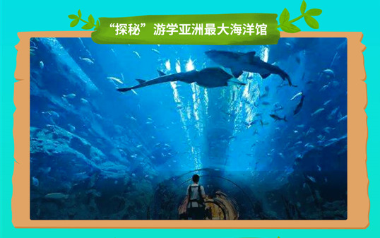 五一去哪兒？新華IT夏令營(yíng)嗨爆小長(zhǎng)假！