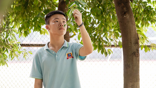 付忠?guī)洠焊绺缤扑]我來四川新華學互聯(lián)網(wǎng)技術