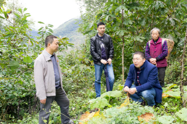 新華教師奮進(jìn)擔(dān)當(dāng)，用技能脫貧托舉希望