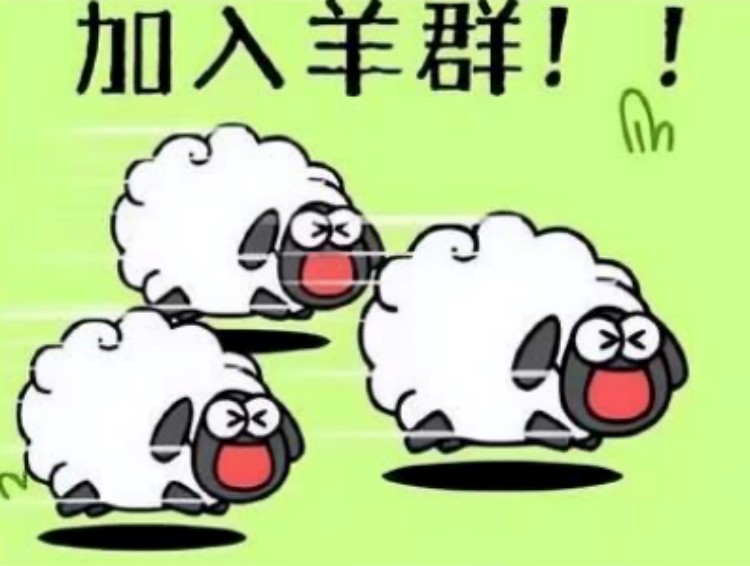 羊了個(gè)羊？成都新華四步帶你無(wú)限通關(guān)！