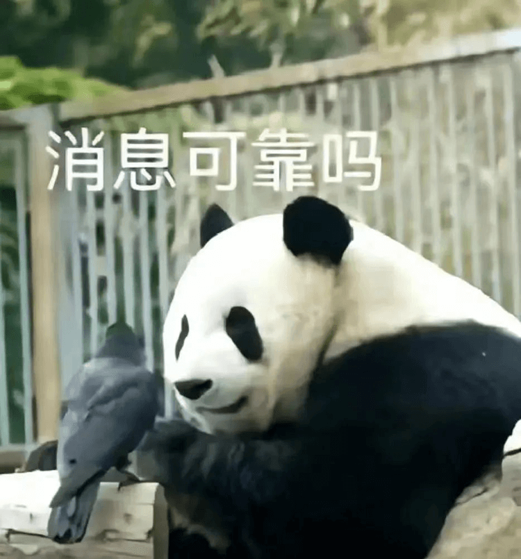 對口高考：升學壓力低，還可以沖本科